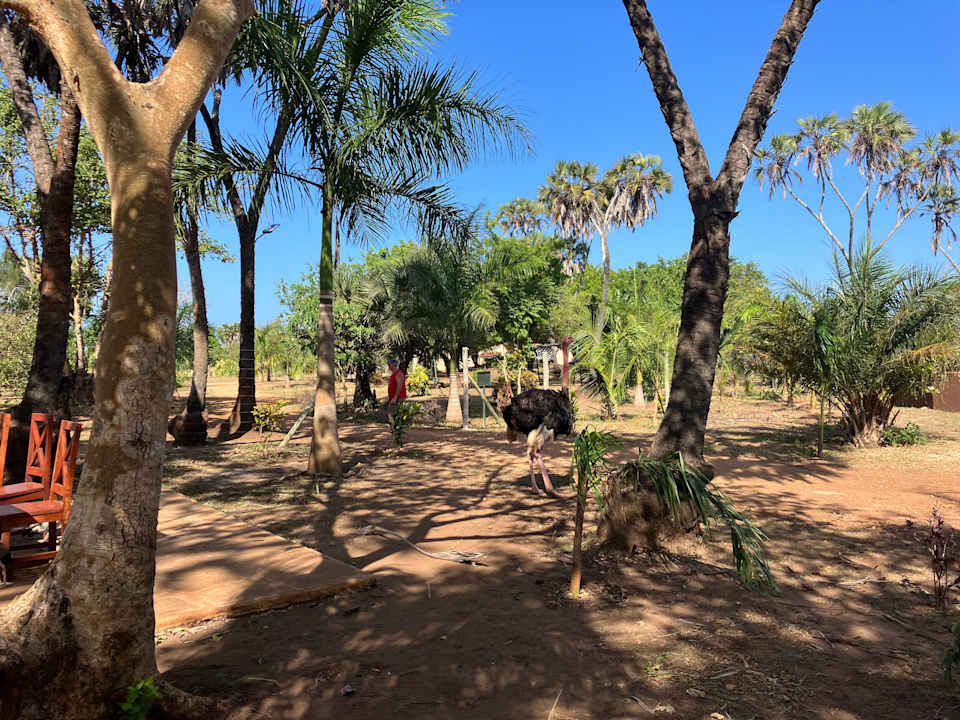 Gartenanlage BoraBora Wildlife park and Luxury Tented Safari Camp Diani