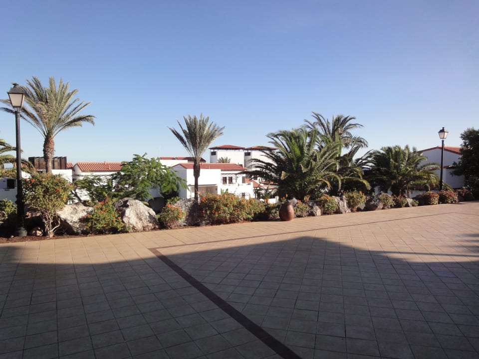 Garten TUI MAGIC LIFE Fuerteventura