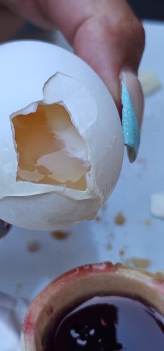 Gastro Hotel Asrin Beach