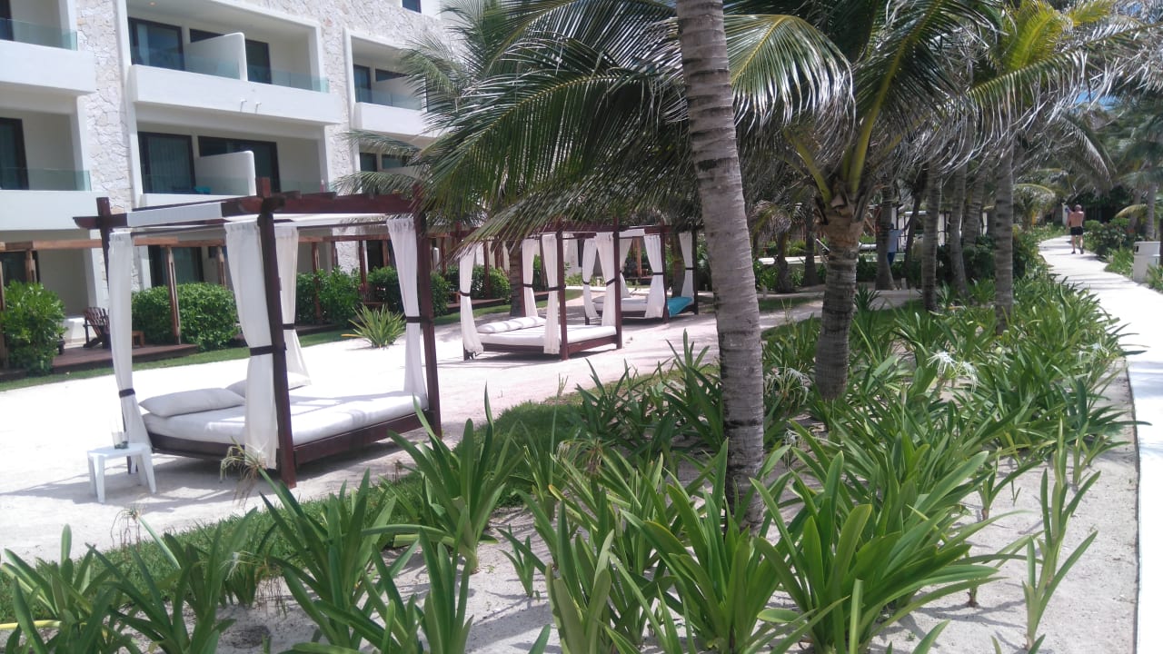 Gartenanlage Akumal Bay Beach & Wellness Resort