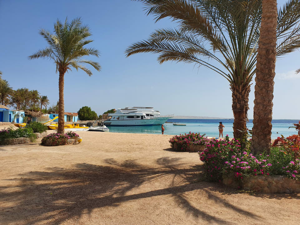 Strand Regina Resort and Aqua Park Hurghada
