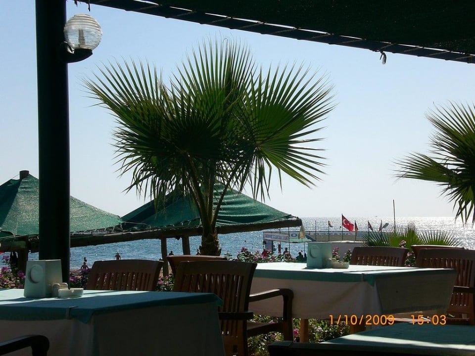 Beachbar VONRESORT Golden Beach