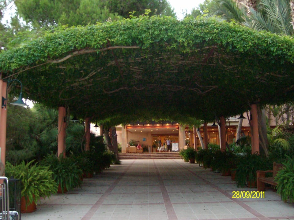 Eingang Hotel Zafiro Bahia