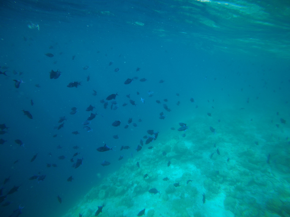 Strand NH Collection Maldives Reethi Resort