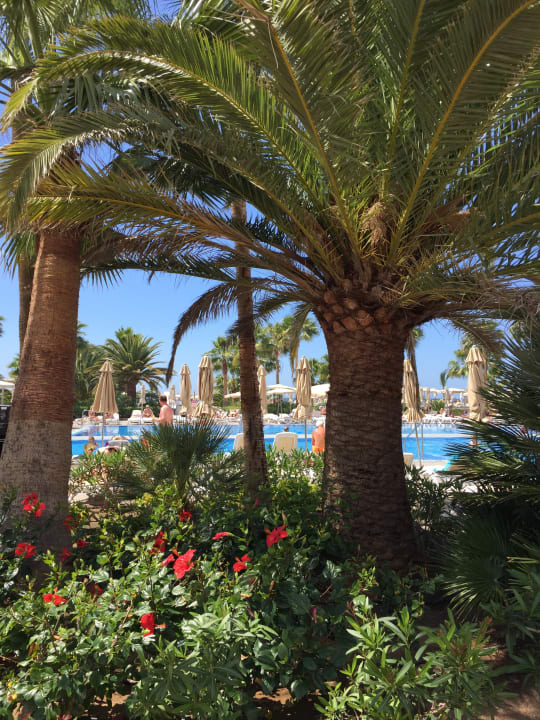Gartenanlage Hotel Riu Gran Canaria