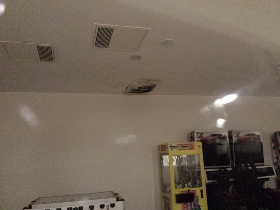 Schimmel im Spielraum Asteria Bloom Side