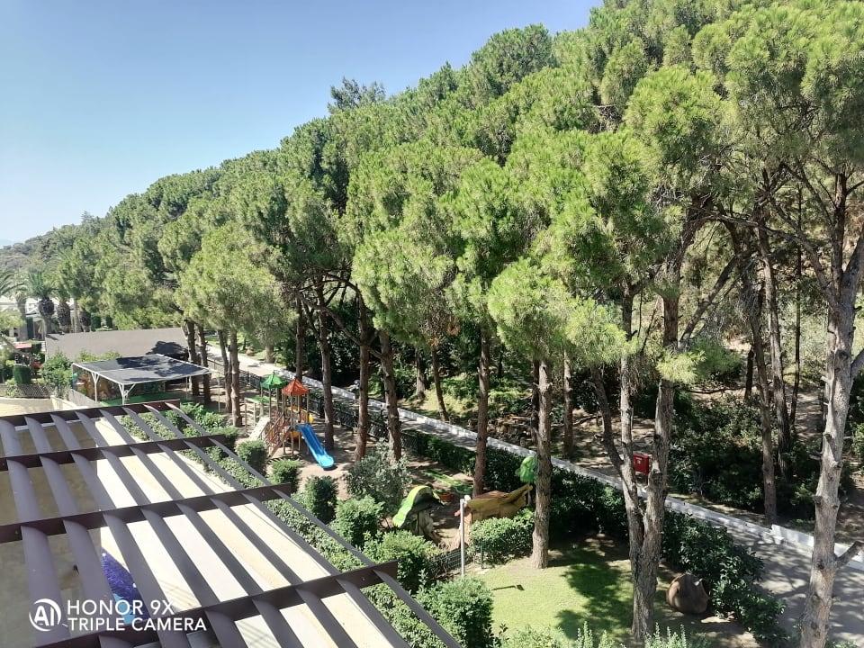 Ausblick Paloma Pasha