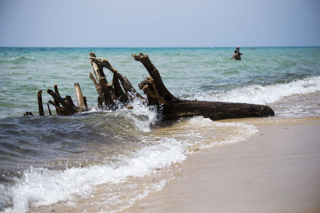 Natura morta Hotel Royal Nozha
