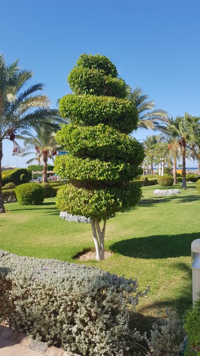 Gartenanlage Titanic Beach Spa & Aqua Park