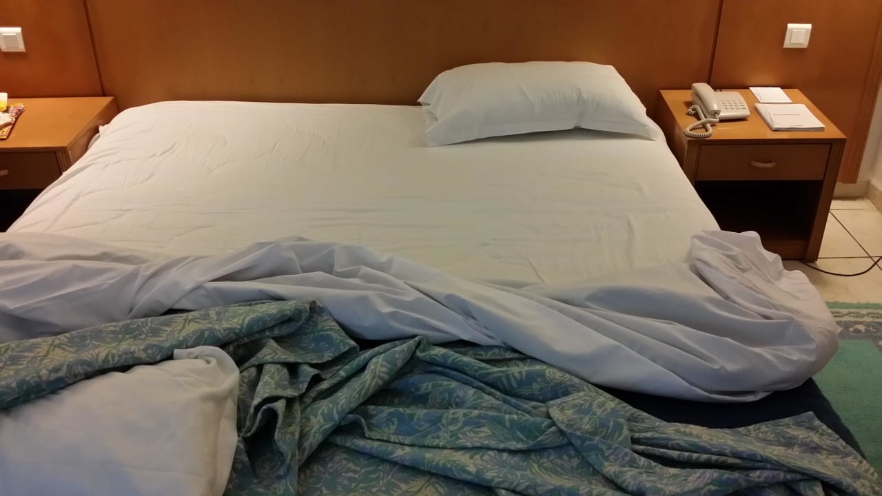 Kameldecke stank nur Bettlacken Hotel El Mouradi Palm Marina