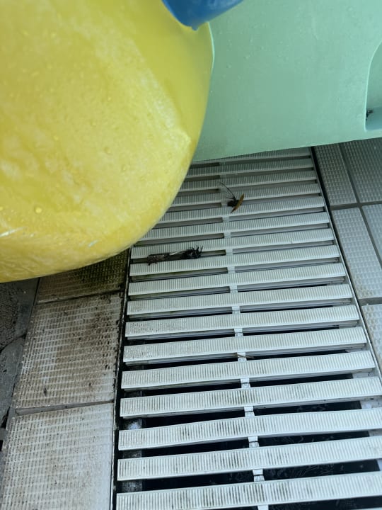 Pool TUI KIDS CLUB Alex Beach