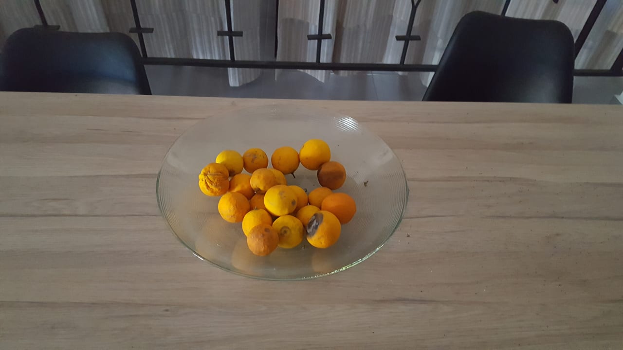 Gastro Hostel Alcina