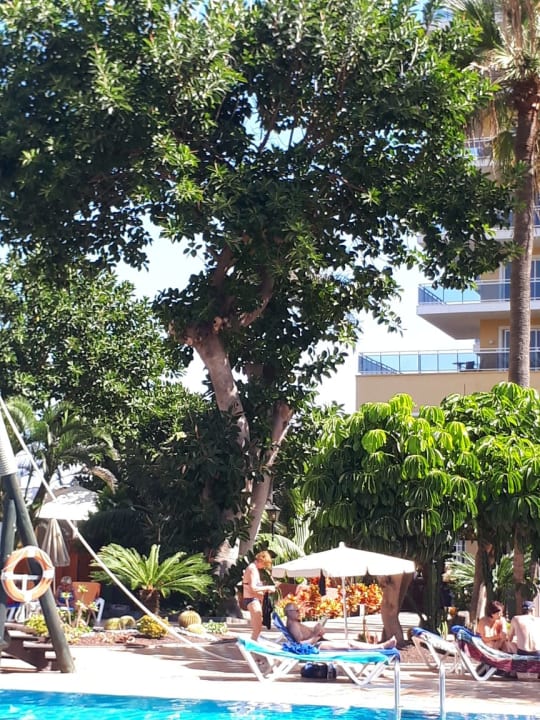 Sonstiges Bahia Principe Sunlight San Felipe