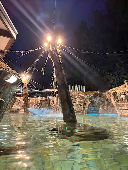 Pool Center Parcs De Kempervennen