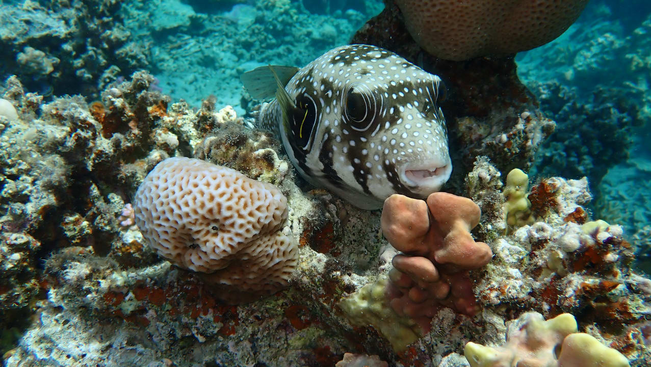 Sport & Freizeit Brayka Bay Resort