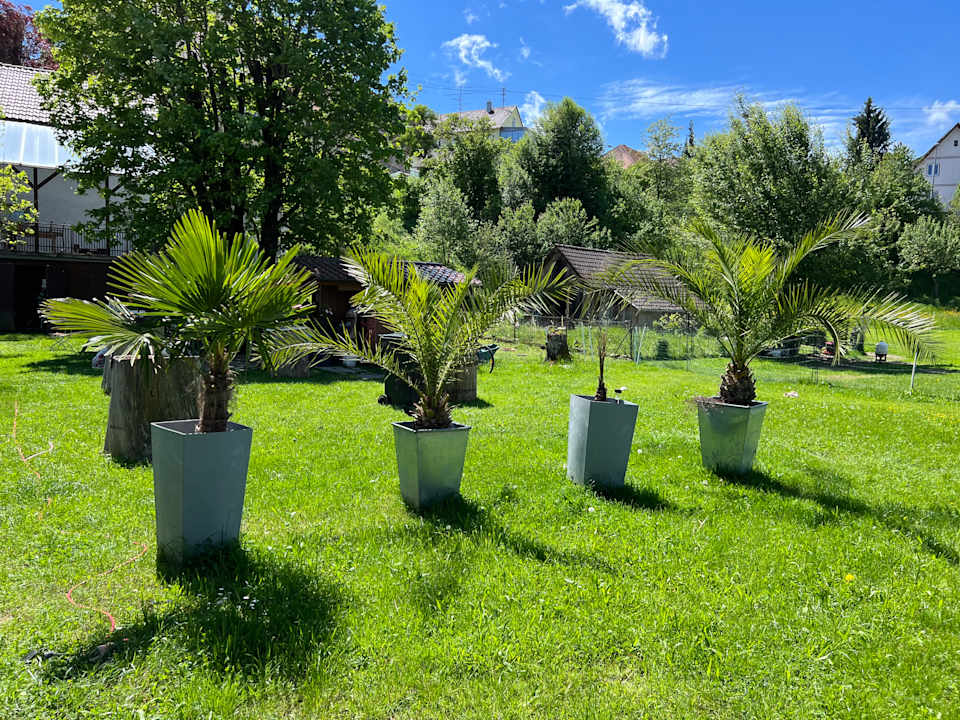 Gartenanlage Hotel Hirsch Fluorn Schwarzwald