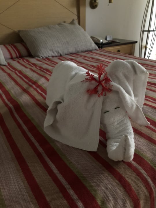 Zimmer Sol Rio De Luna y Mares