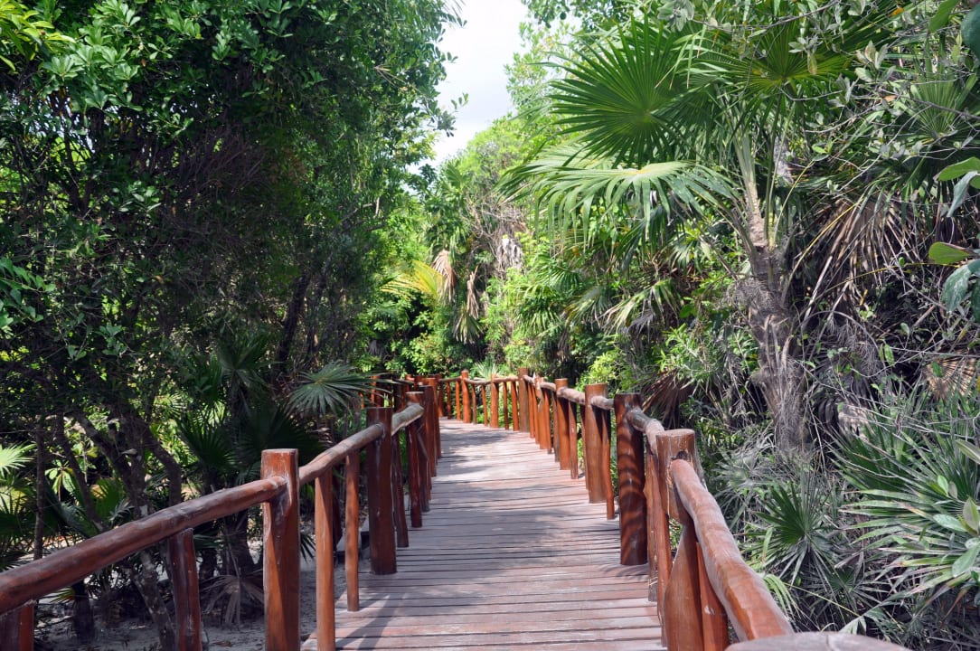 Traumhafte Anlage Grand Palladium Kantenah Resort & Spa