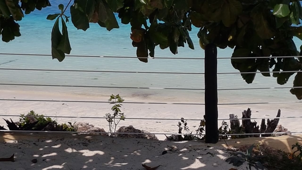 Ausblick Royal Zanzibar Beach Resort