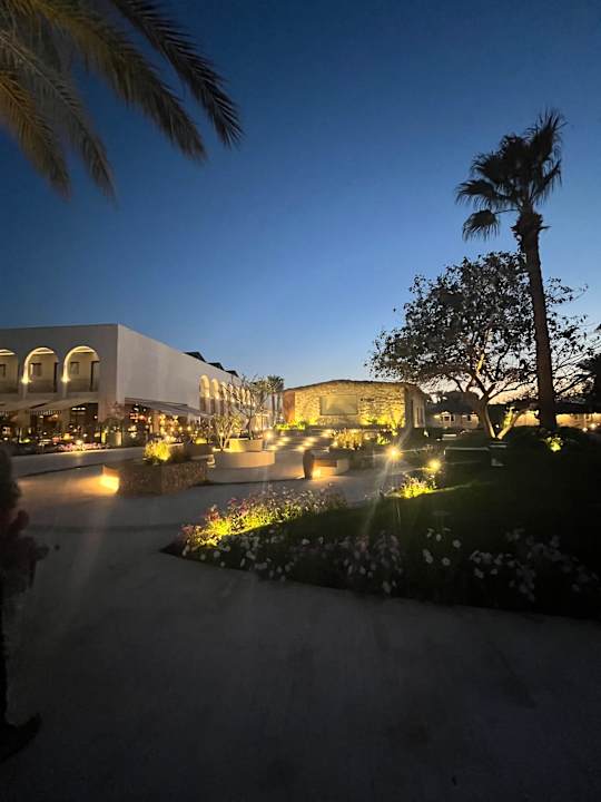 Außenansicht Desert Rose