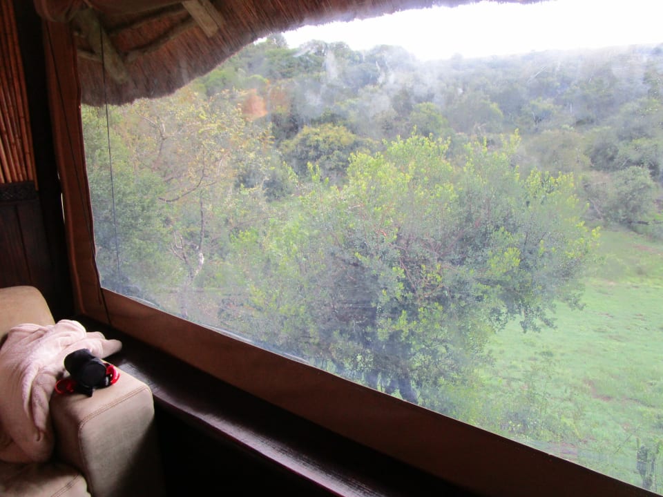 Zimmer Safari Lodge- Amakhala Game Reserve