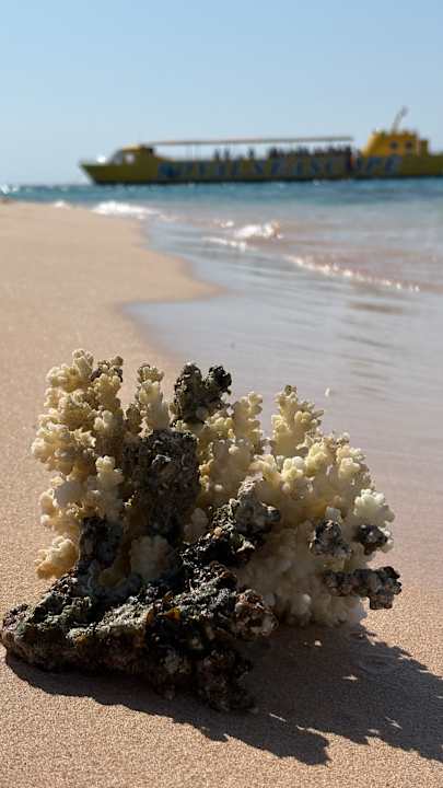 Strand ROBINSON SOMA BAY