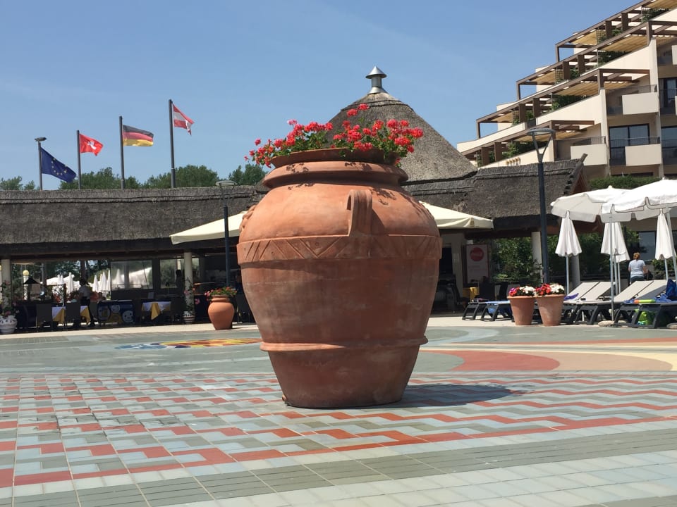 Pool Aparthotel Holiday