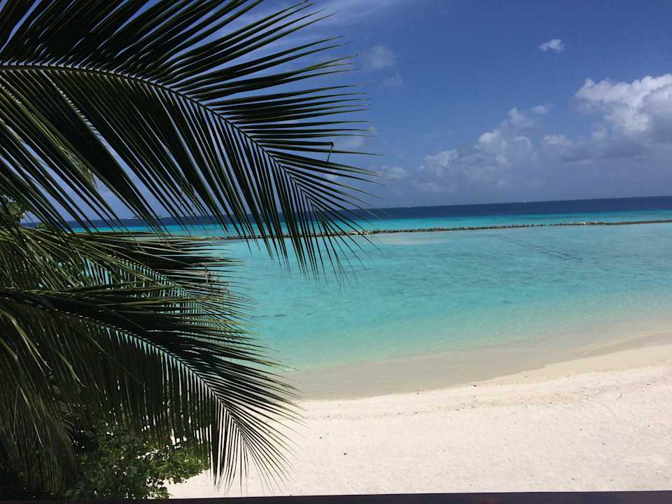 Strand Summer Island Maldives