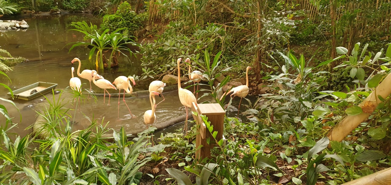 Gartenanlage Tropical Islands Resort