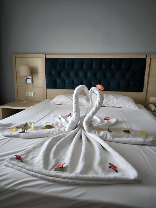 Zimmer Dream World Palace Hotel