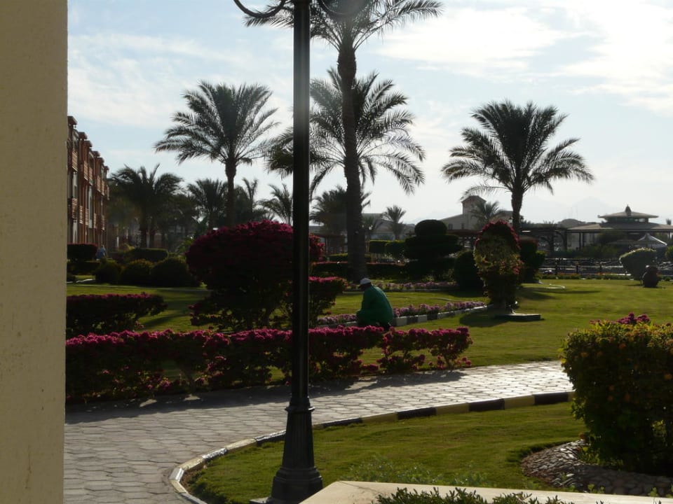 View garden Pickalbatros Dana Beach Resort - Hurghada