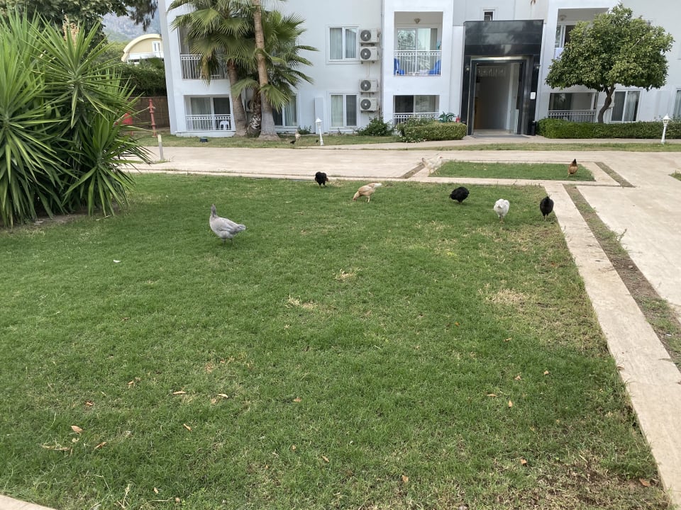 Gartenanlage Armas Gül Beach