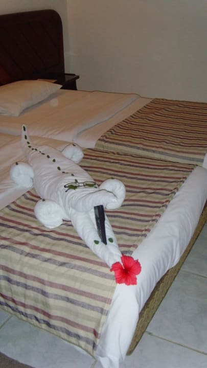 Zimmerbewohner  Ghazala Beach