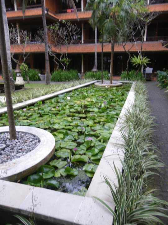 Seerosenteich im Garten Puri Santrian