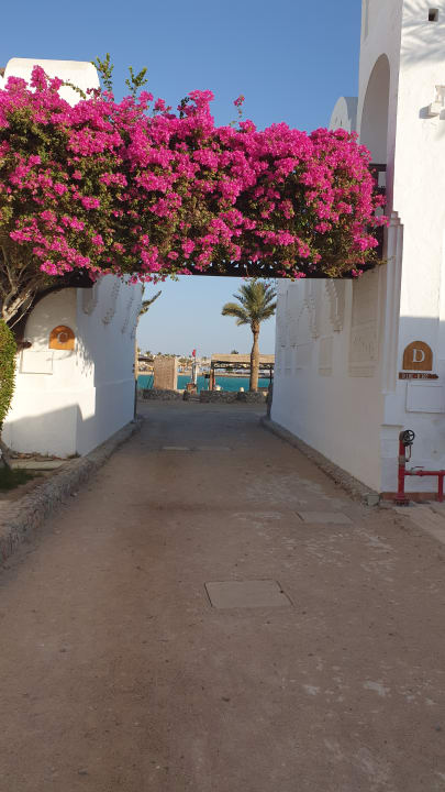 Außenansicht Arabella Azur Resort
