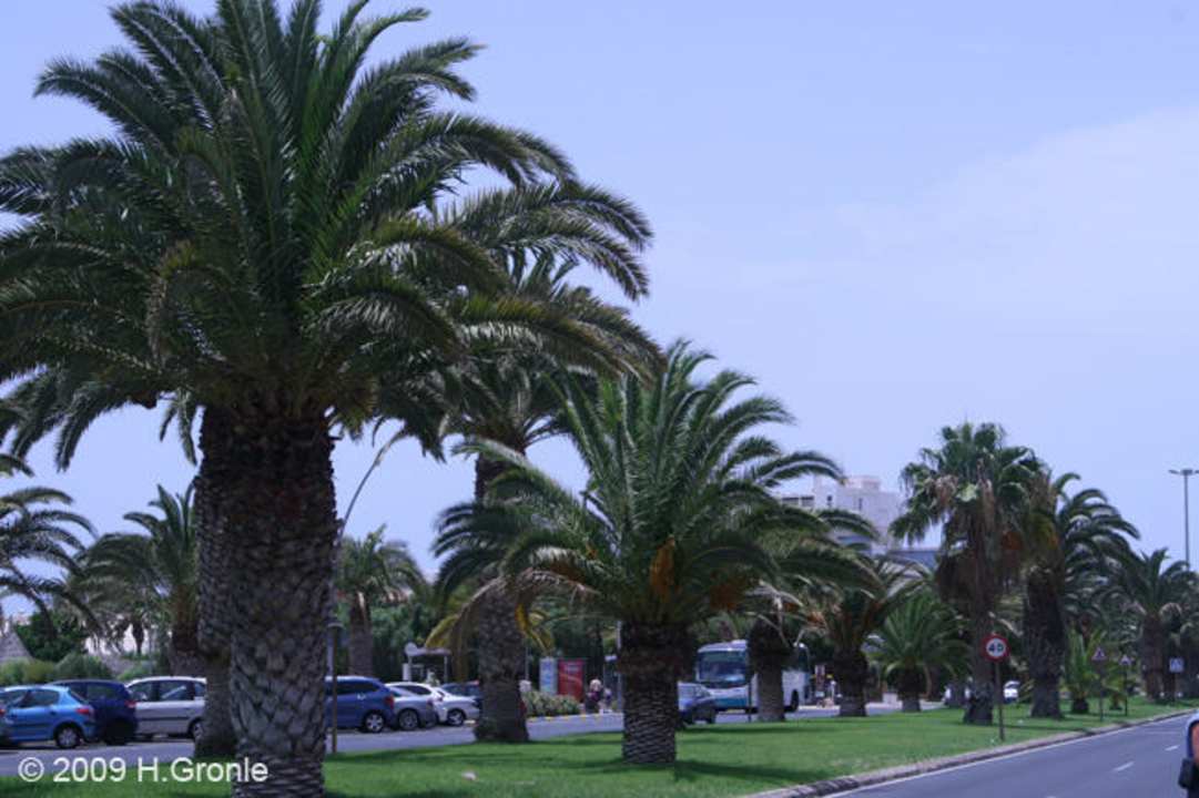Anlage Fuerteventura Princess