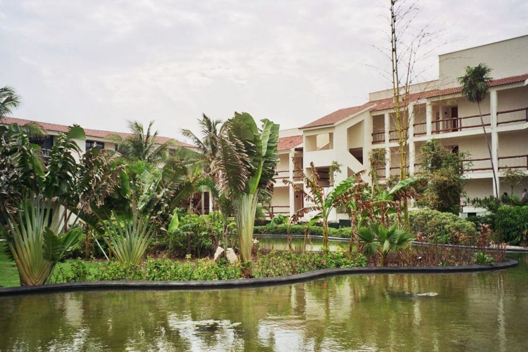 Blick zur tropischen Gartenanlage Grand Oasis Tulum Riviera - All Inclusive