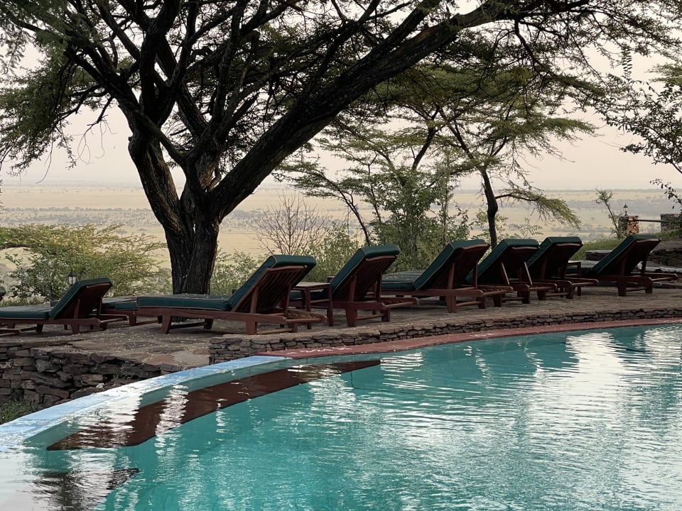 Pool Serengeti Serena Safari Lodge