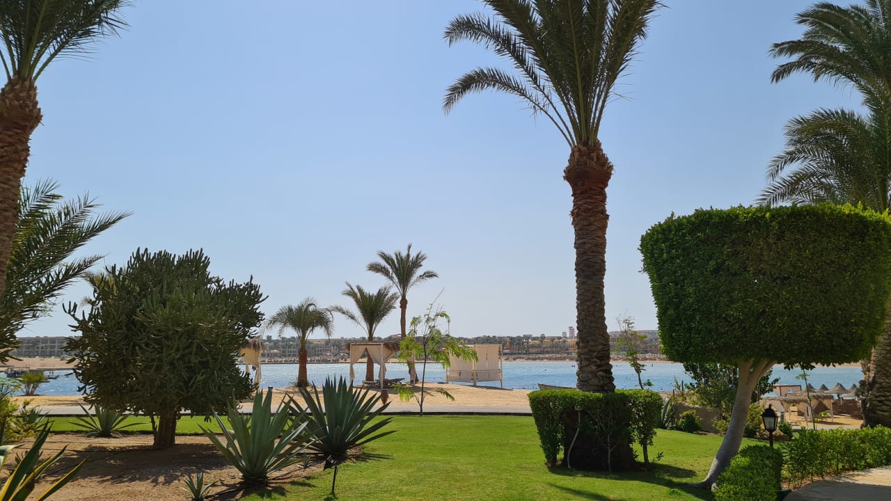 Gartenanlage Steigenberger Coraya Beach - Adults only