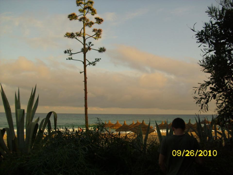 Strand abends Hotel Royal Nozha