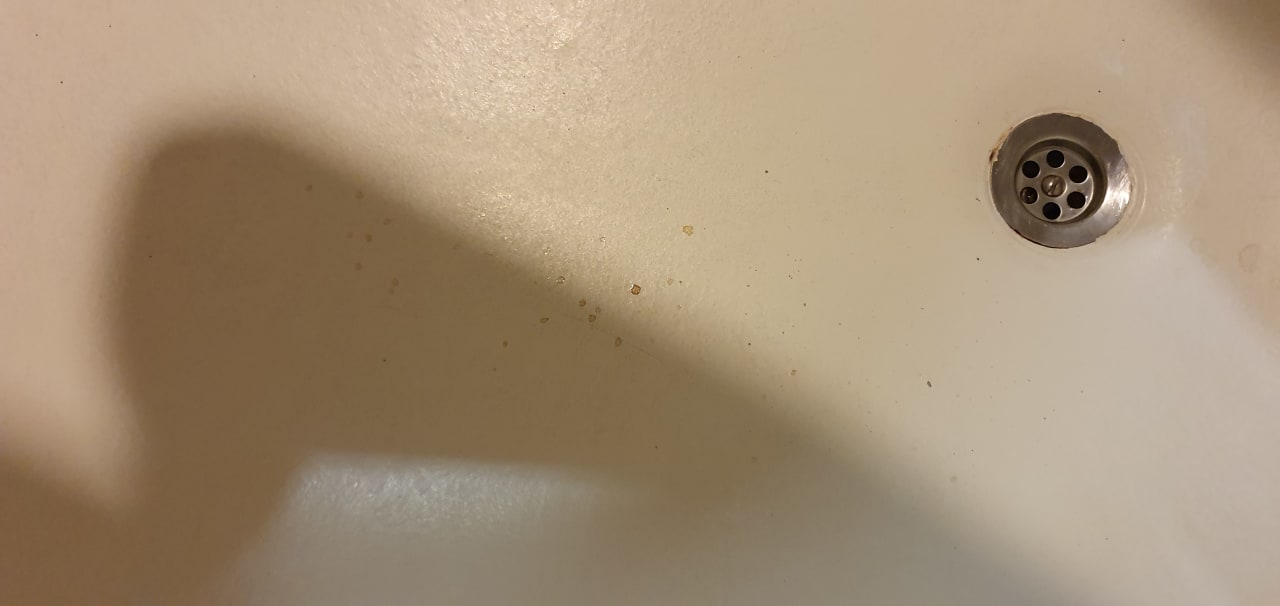 Zimmer Prestige Alanya