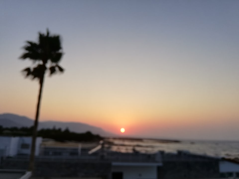 Ausblick allsun Hotel Carolina Mare