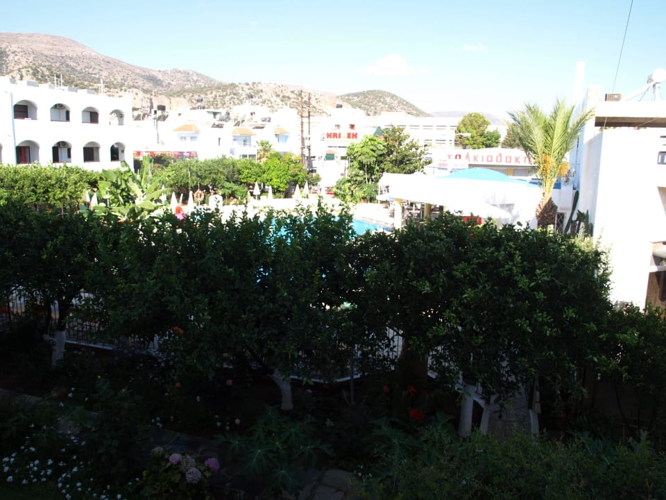 Blick vom Balkon Hotel Malia Holidays