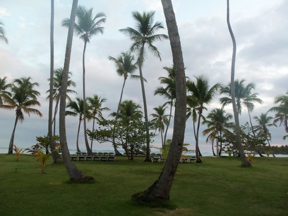 Blick über die Liegewiese Wyndham Alltra Samana
