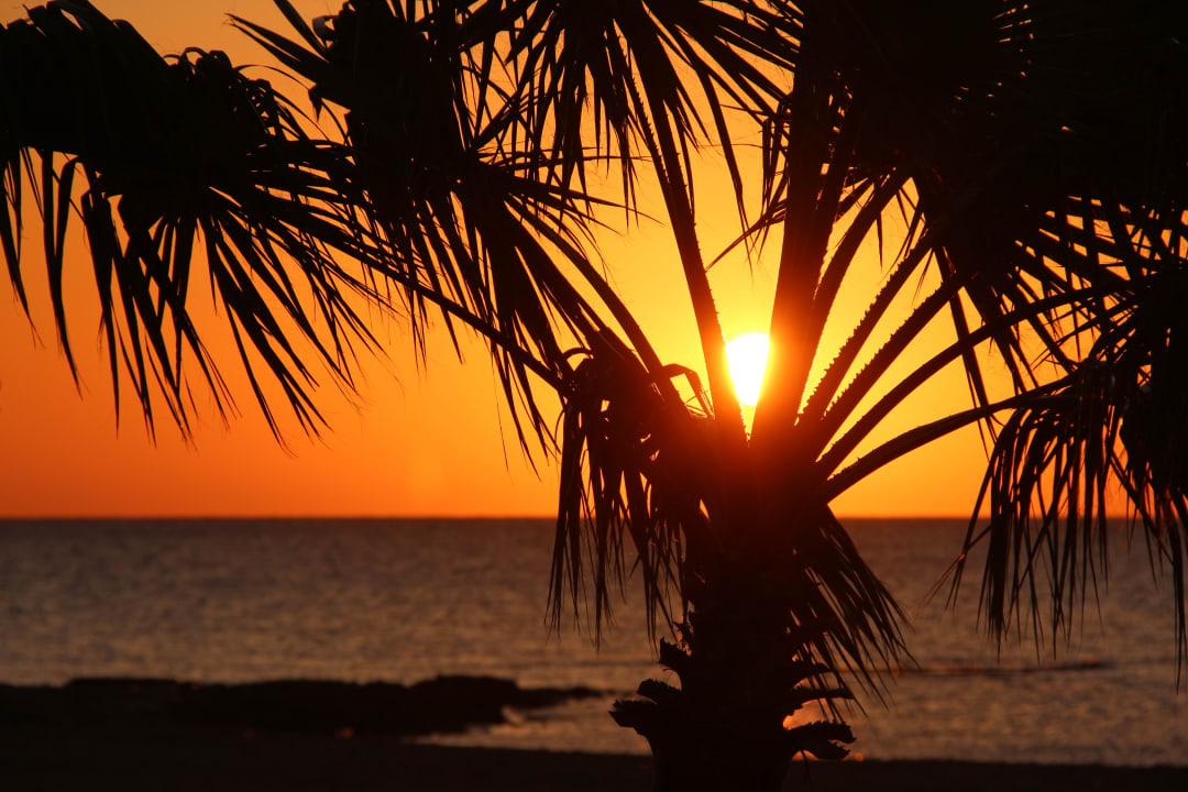 Gartenanlage Shams Prestige Abu Soma-Adults Only