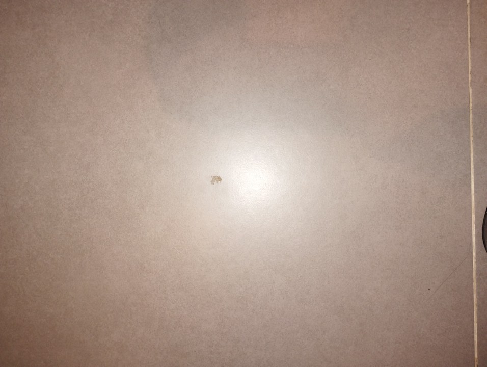 Zimmer La Blanche Island Bodrum