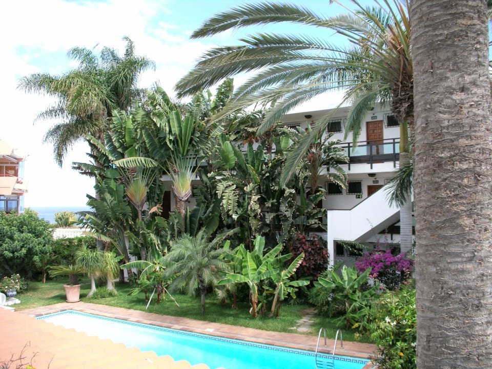 Die Rückseite mit schön bepflanzten Garten und Poo Hotel Taboga