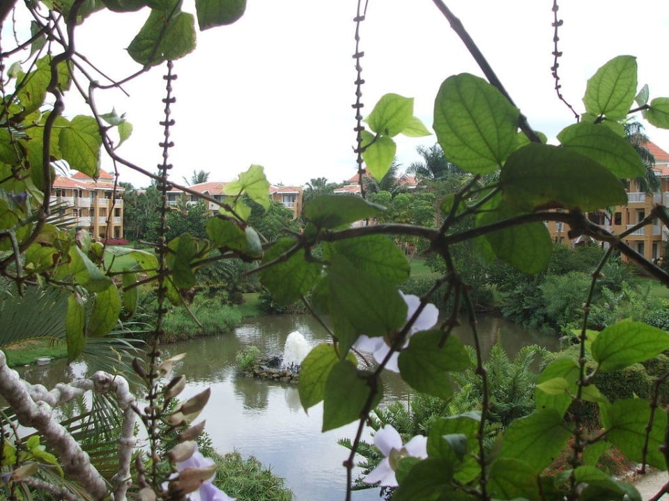 Rundgang Hotel Viva Dominicus Palace by Wyndham-All Inclusive Resort