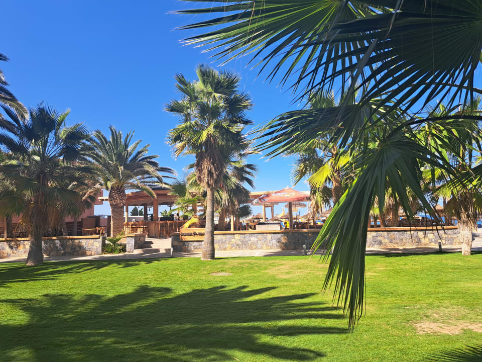 Gartenanlage Calimera Sirens Beach