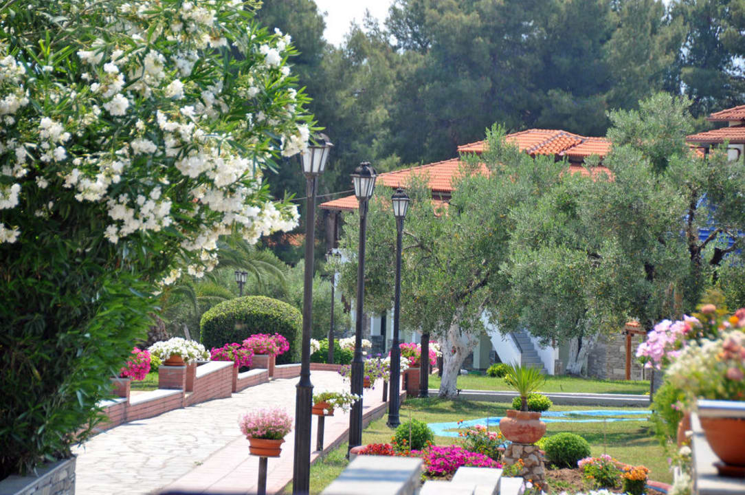 Weg zu den Bungalows Blue Dolphin Resort Hotel